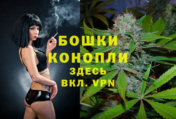 сатива Волосово